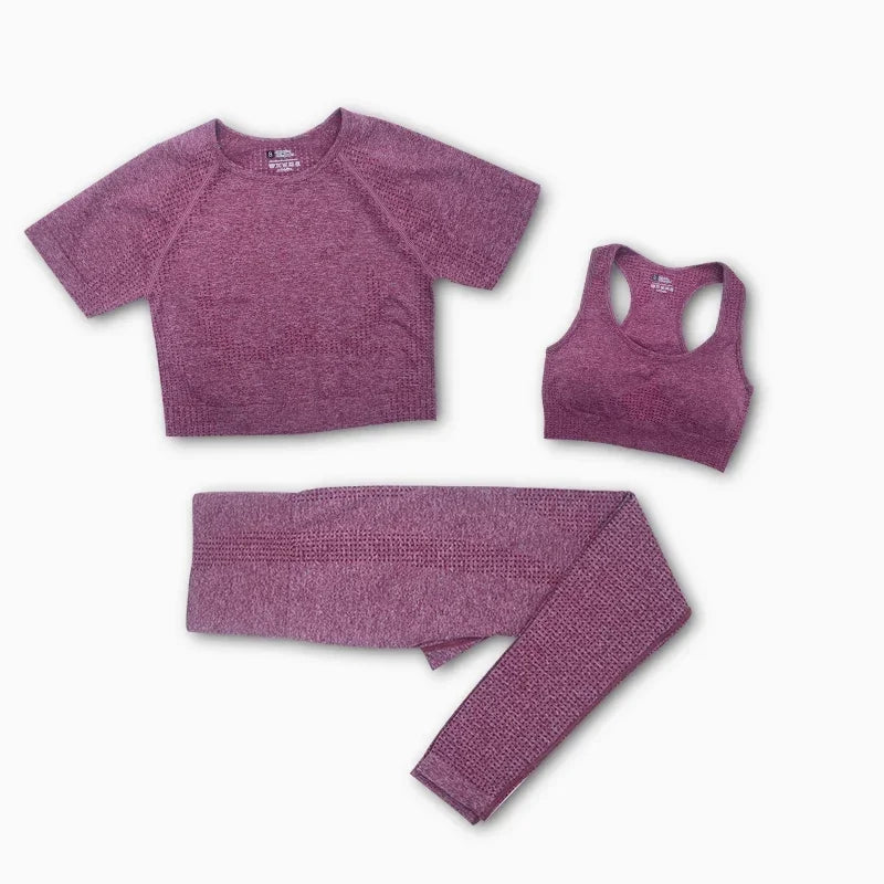 Conjunto feminino Sportwear Academia, yoga, corrida
